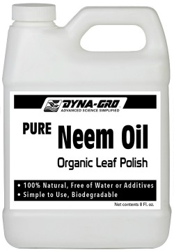 neem oil