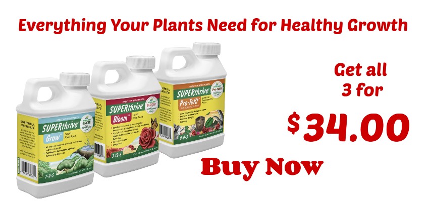 nutrients for houseplants