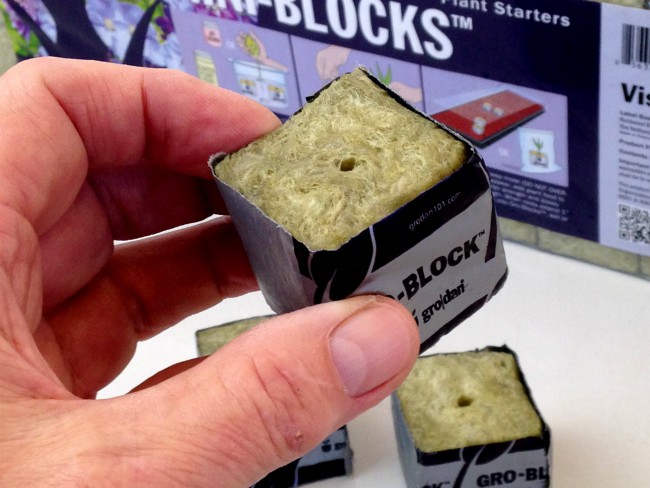 Growing herbs from seeds - using rockwool cubes
