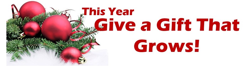 gift that grows