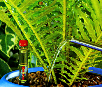 Hydroponic Herbs - watering plants
